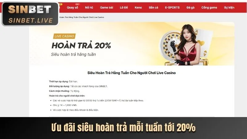 Sự kiện lễ hội và khuyến mãi đặc biệt